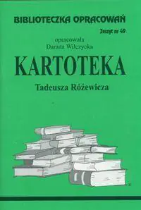 Książka - Kartoteka. Biblioteczka opracowań. Zeszyt nr 49