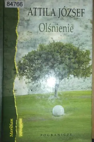 Książka - Olśnienie