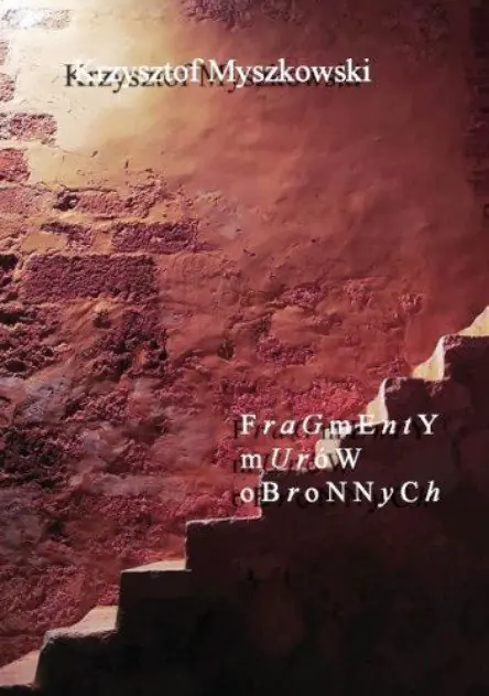 Książka - Fragmenty murów obronnych