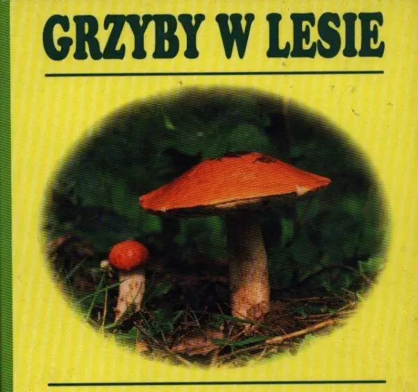 Książka - Grzyby w lesie