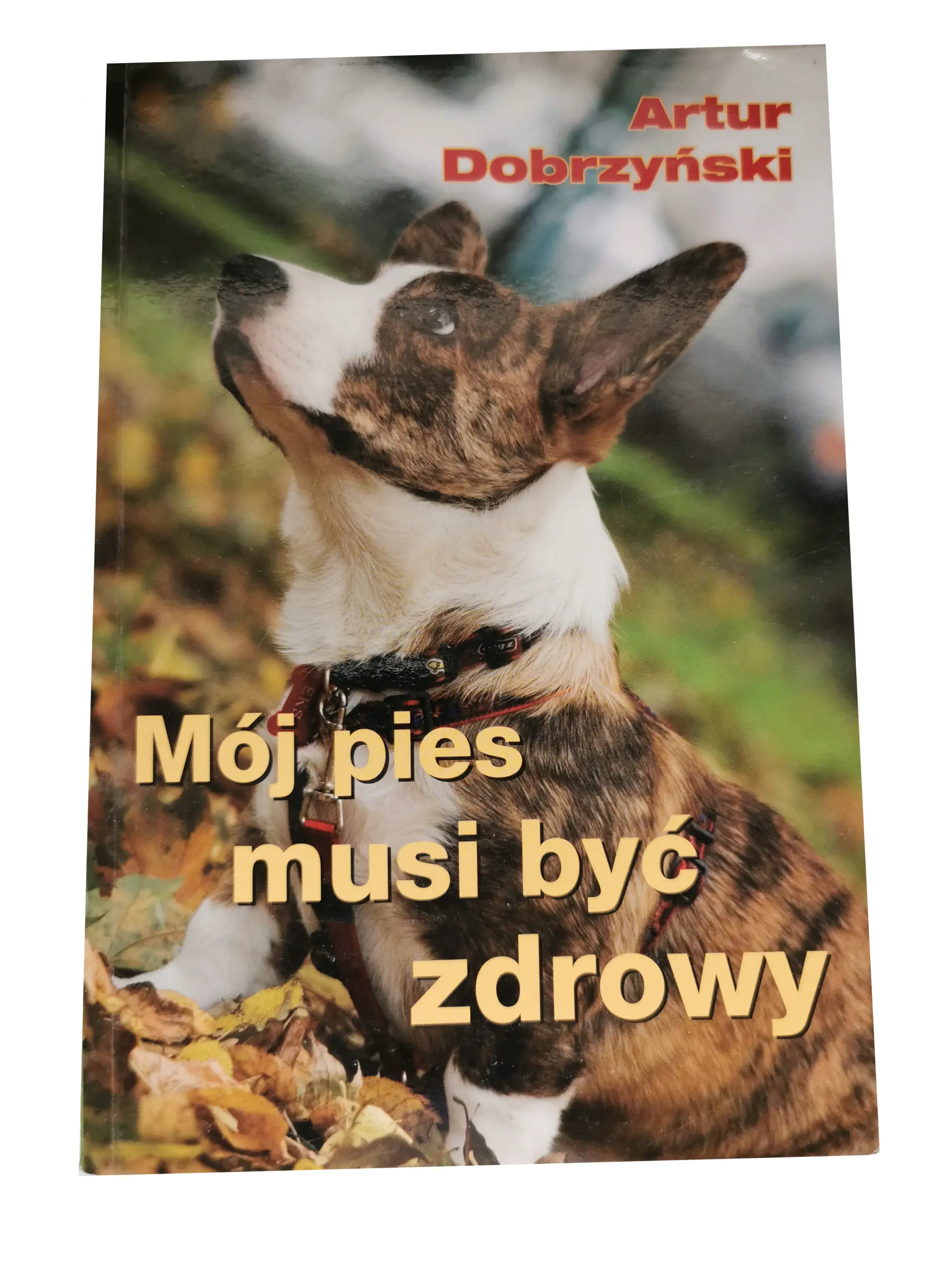 Książka - Mój pies musi być zdrowy