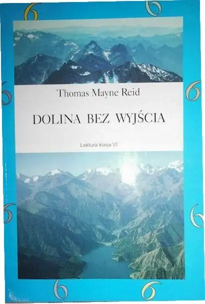 Książka - Dolina bez wyjścia