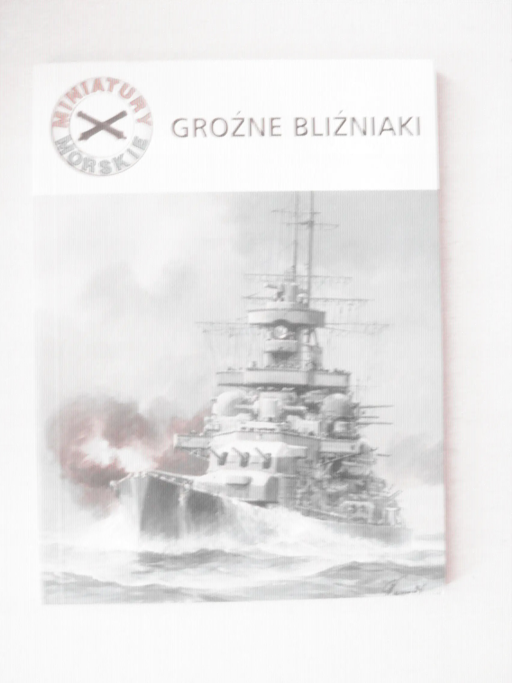 Książka - Groźne bliźniaki