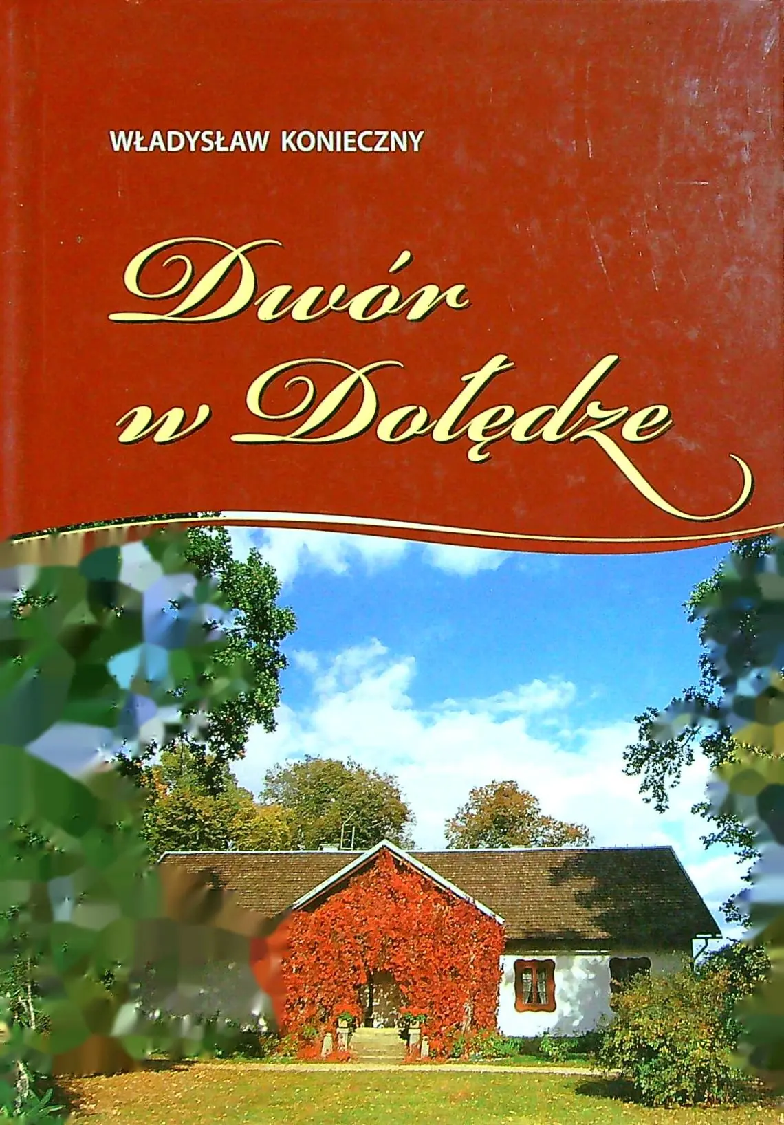 Książka - Dwór w Dołędze