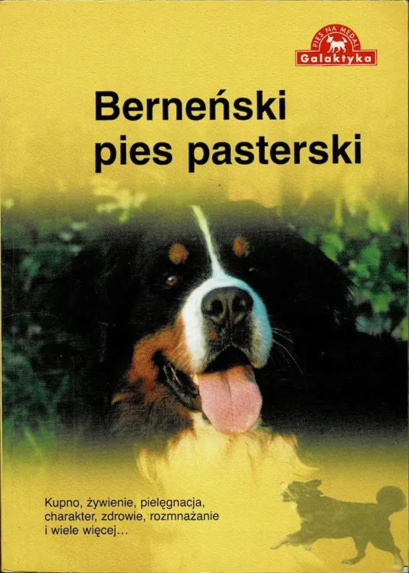 Książka - Berneński pies pasterski