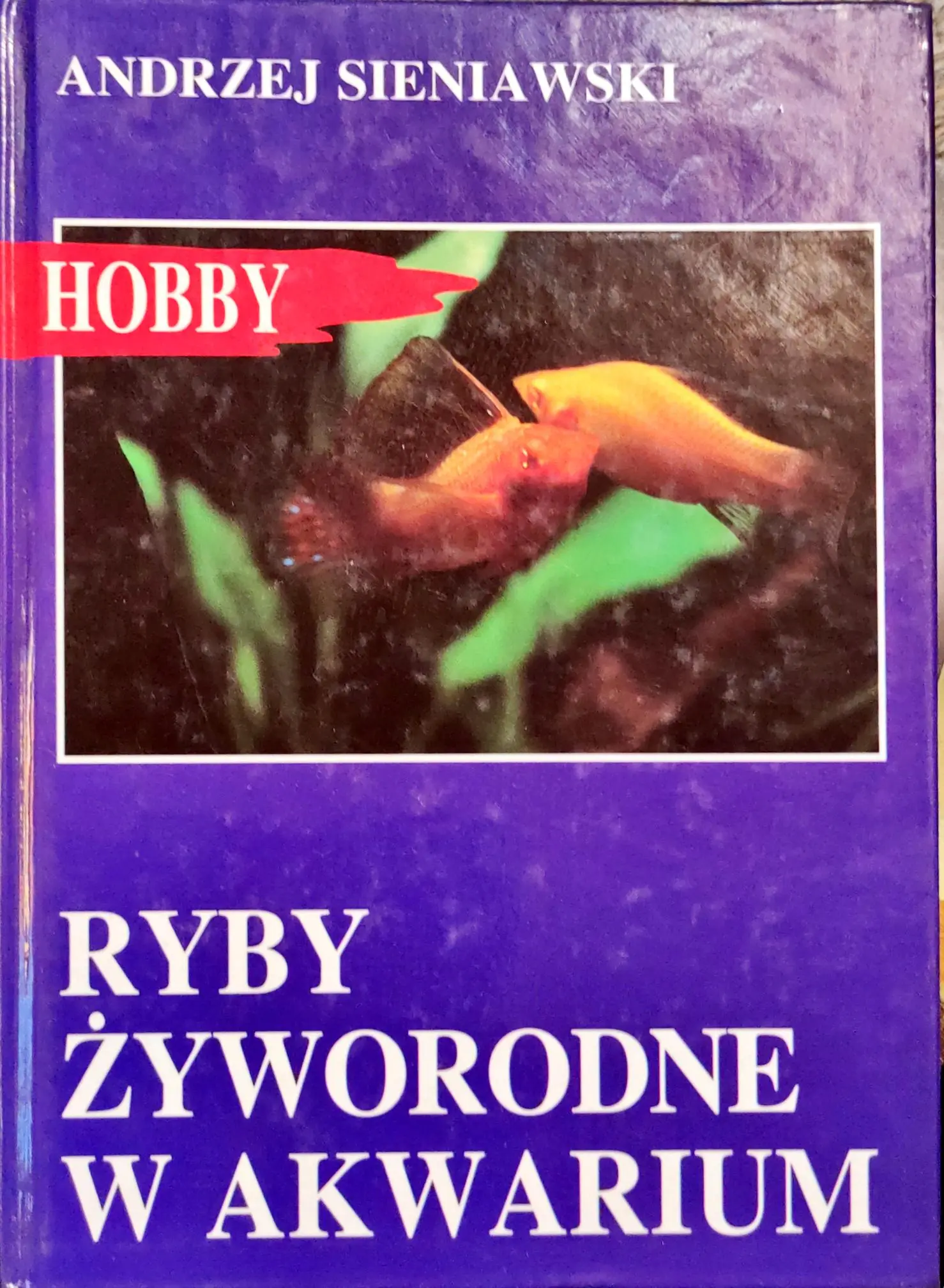 Książka - Ryby żyworodne w akwarium