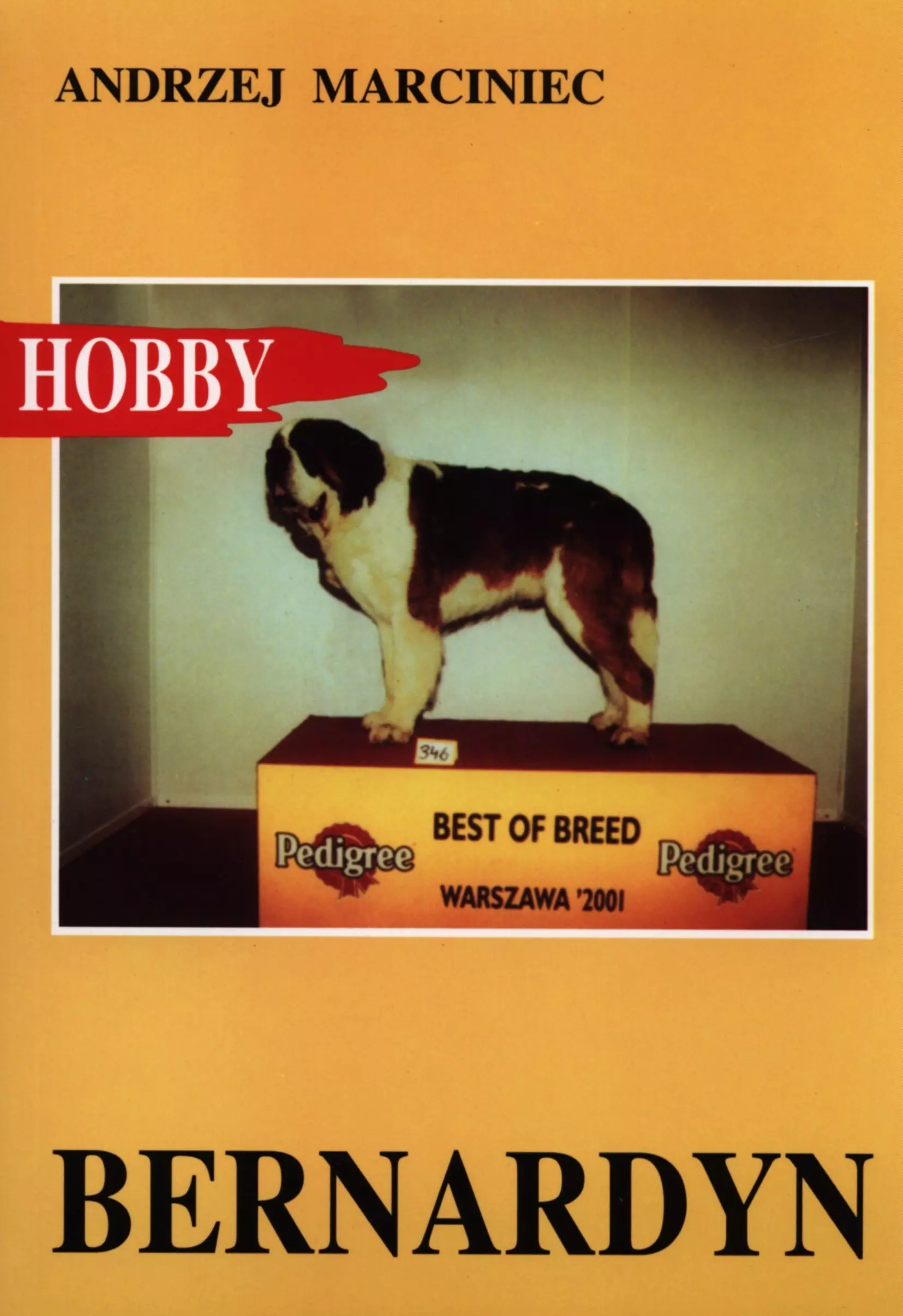 Książka - Bernardyn