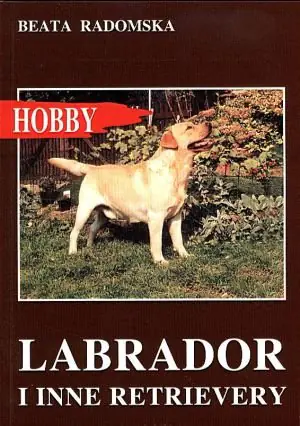 Książka - Labrador i inne retrievery