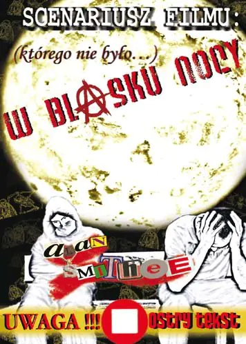 Książka - W blasku nocy