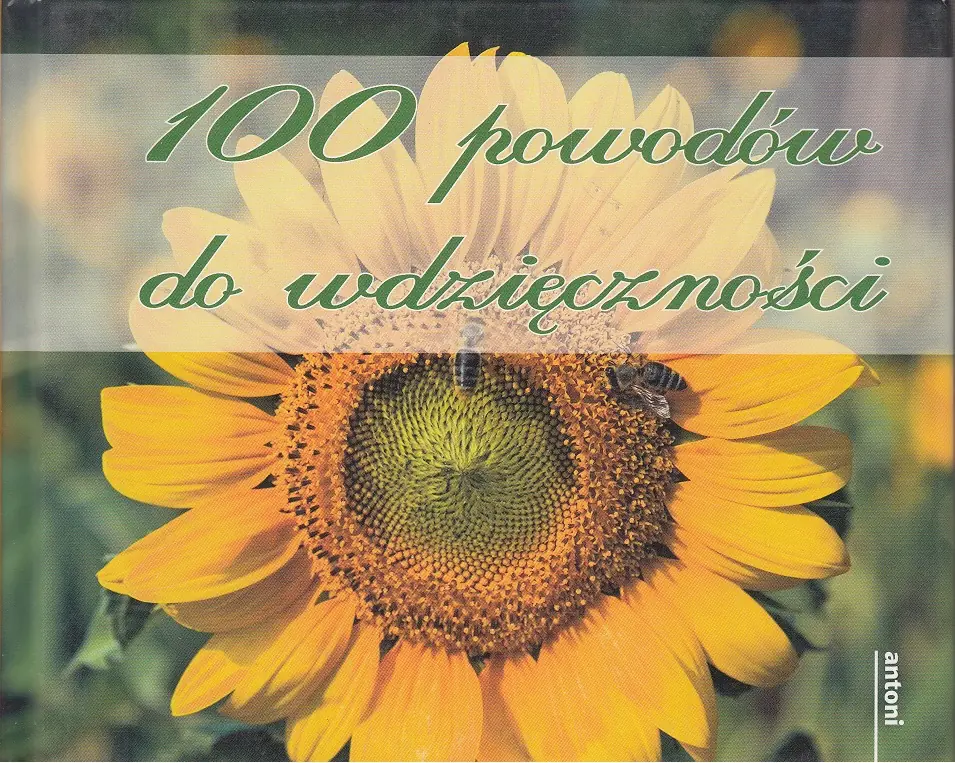 Książka - 100 powodów do wdzięczności - 