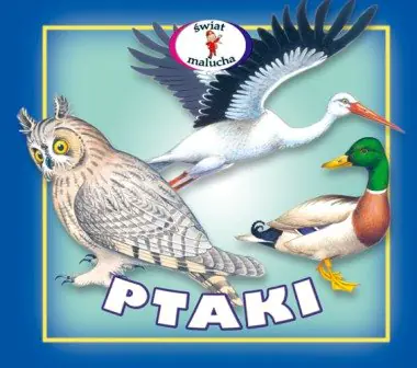 Książka - Ptaki