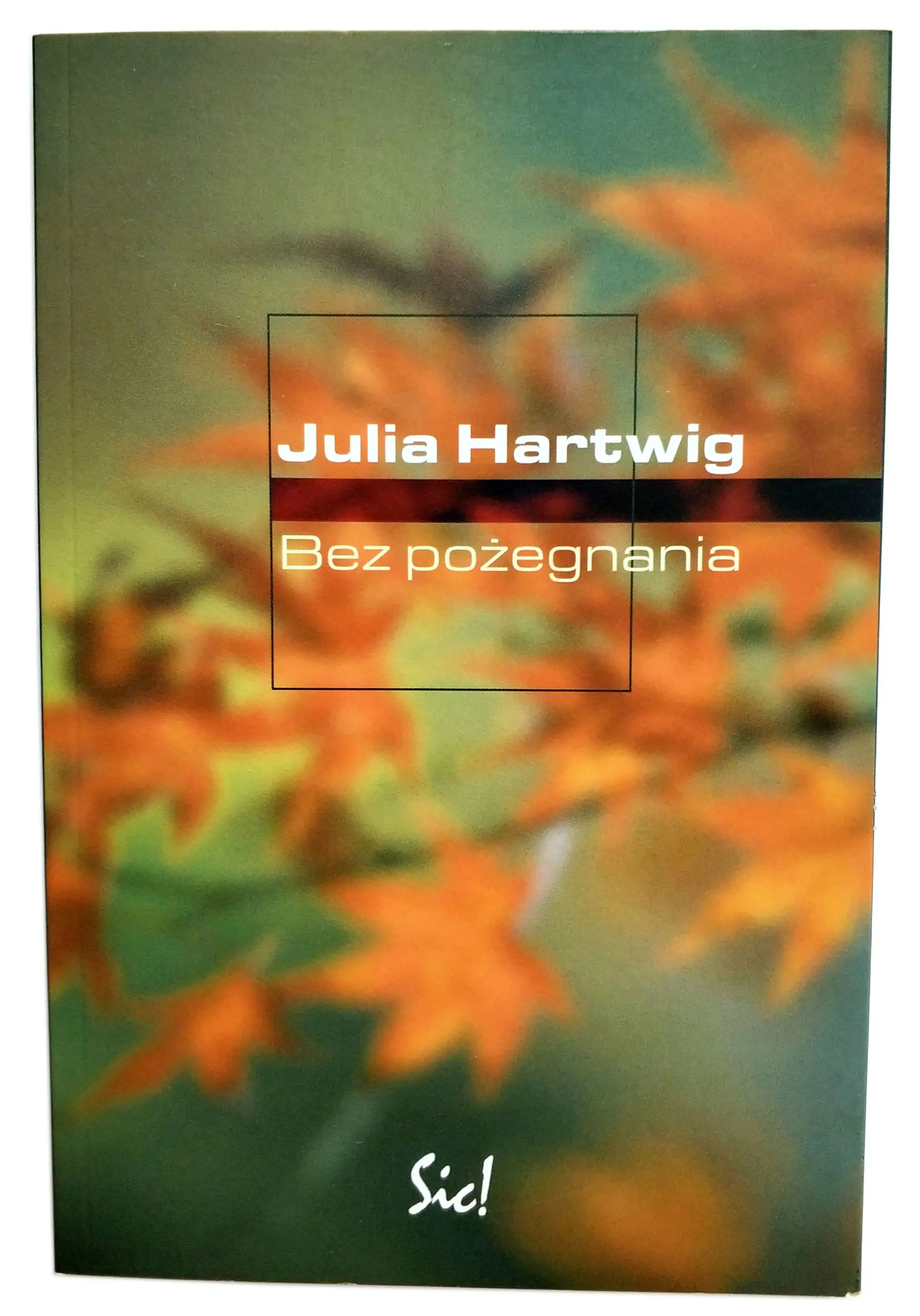 Książka - Bez pożegnania