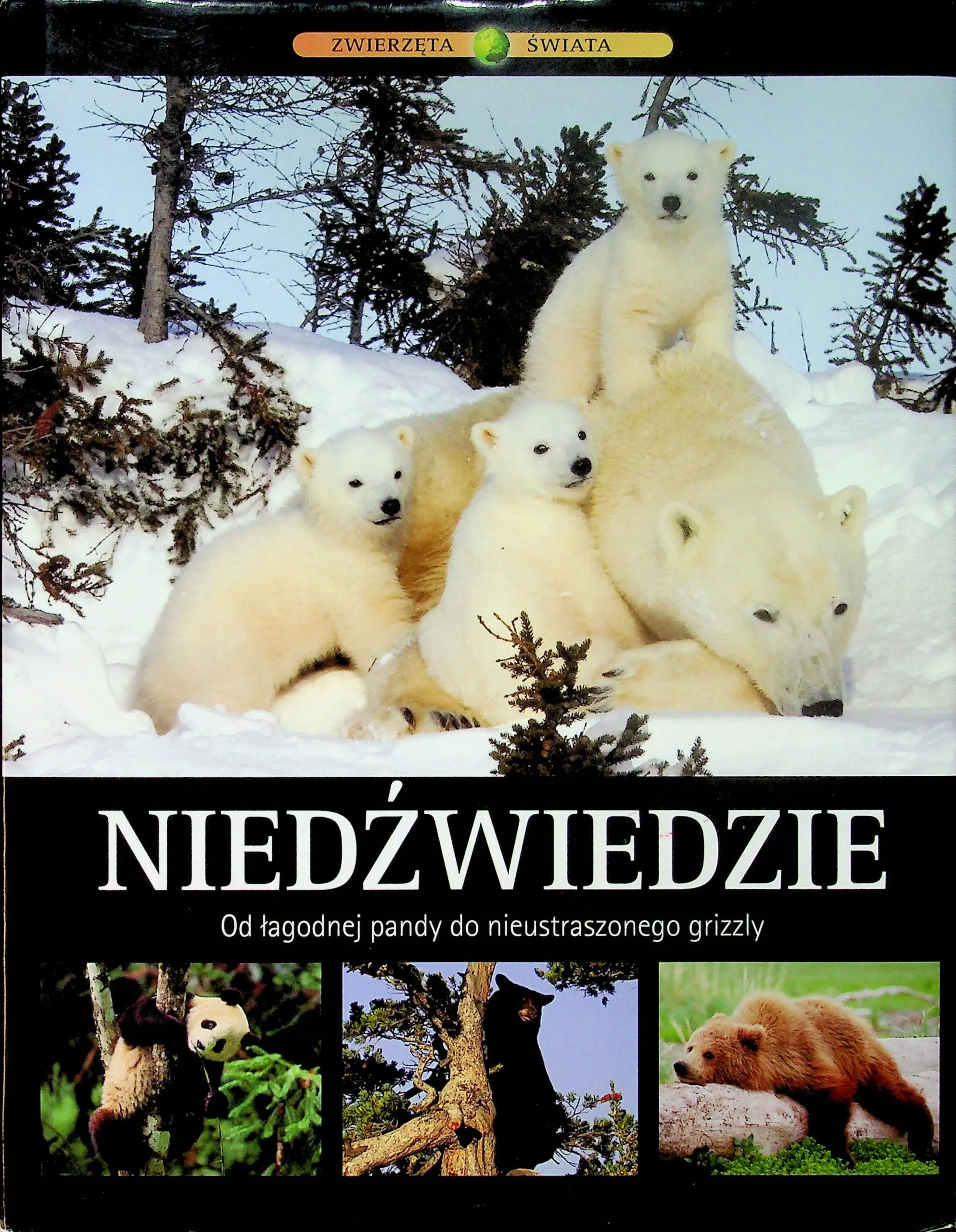 Książka - Niedźwiedzie. Od łagodnej pandy do nieustraszonego grizzly