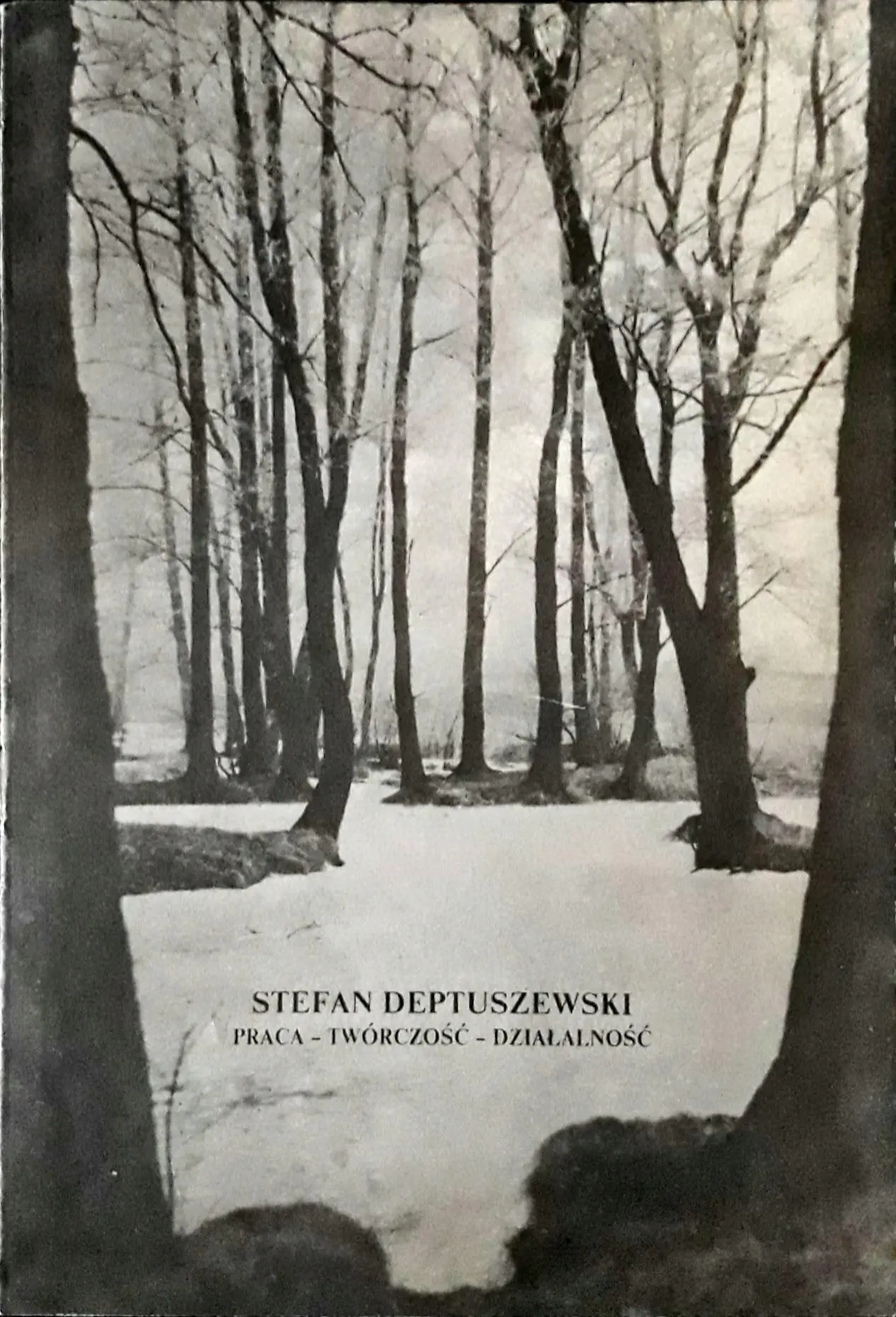Książka - Wszyscy święci idą do nieba