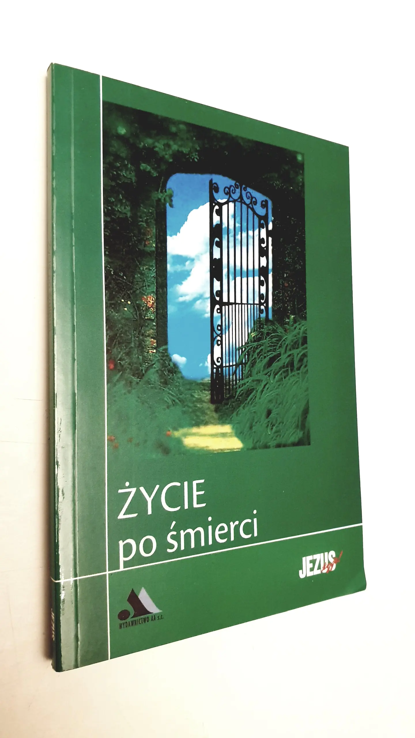 Książka - Życie po śmierci