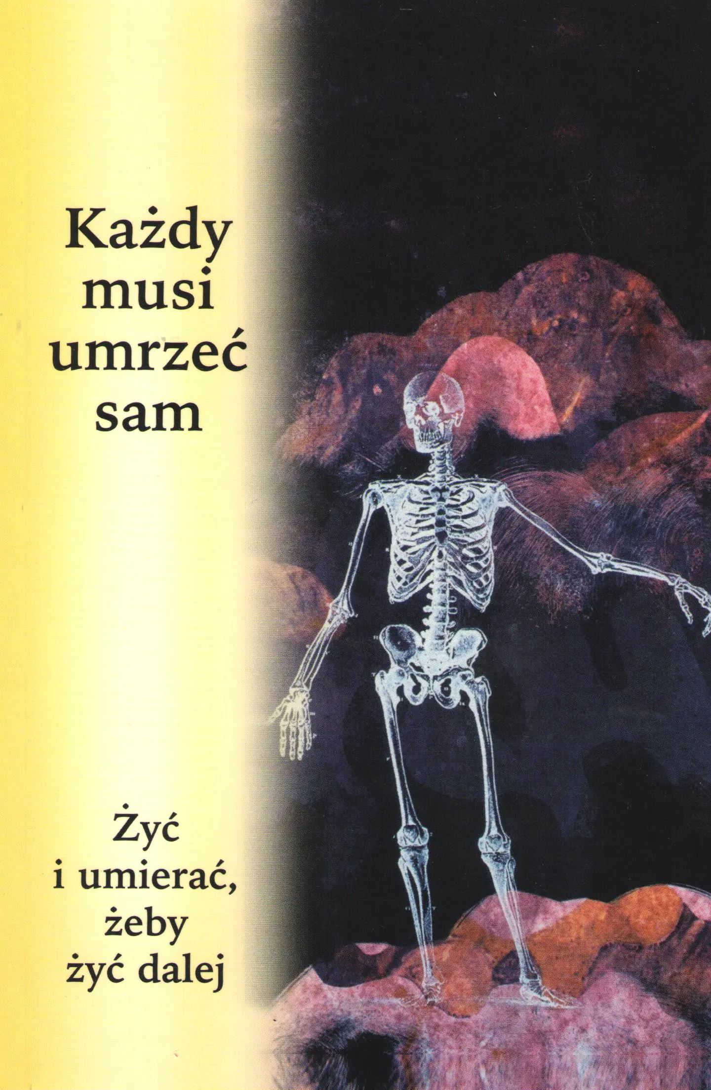 Książka - Każdy musi umrzeć sam. Żyć i umierać, żeby żyć dalej