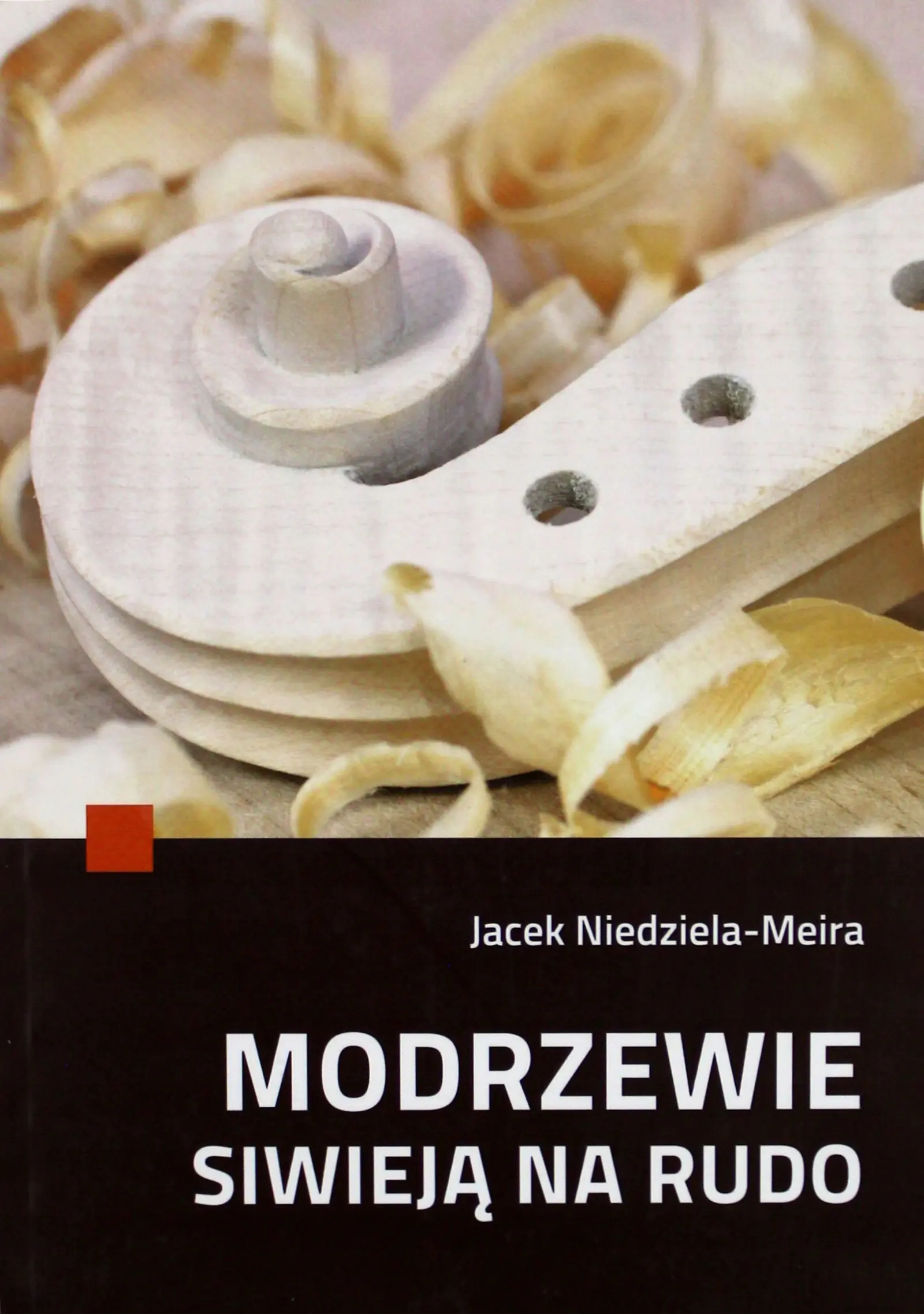 Książka - Modrzewie siwieją na rudo