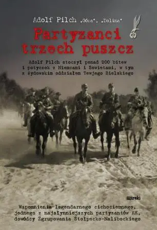 Książka - Partyzanci trzech puszcz