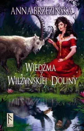 Książka - Wiedźma z Wilżyńskiej Doliny