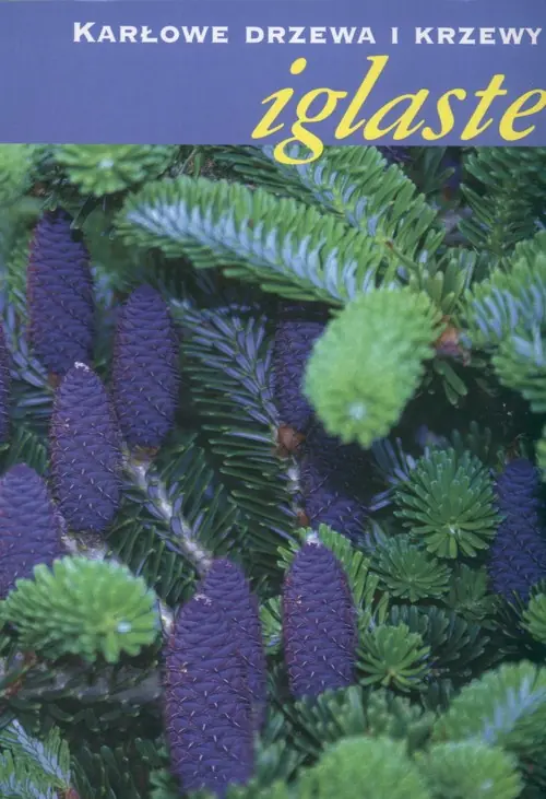 Książka - Karłowe drzewa i krzewy iglaste
