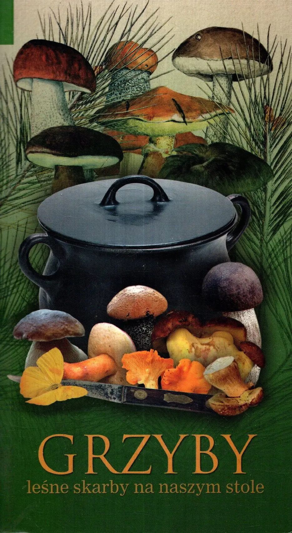 Książka - Grzyby leśne skarby na naszym stole