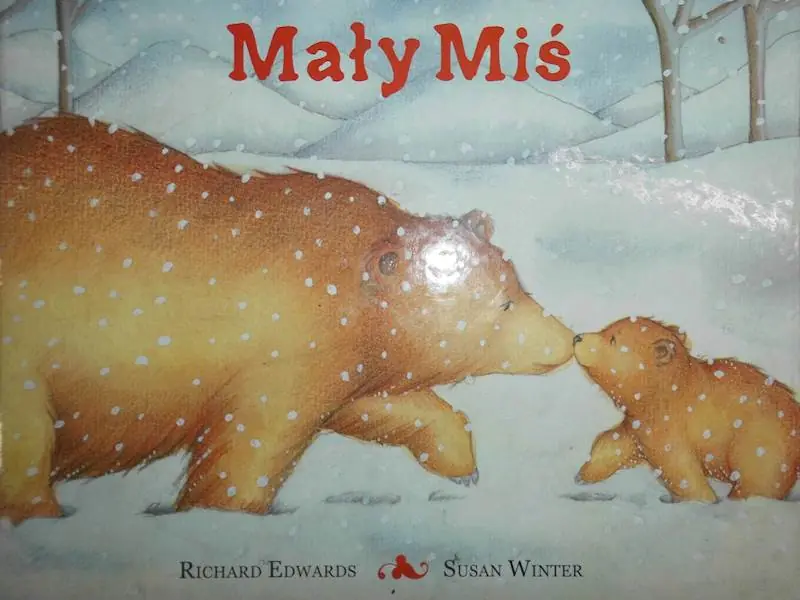 Książka - Mały miś