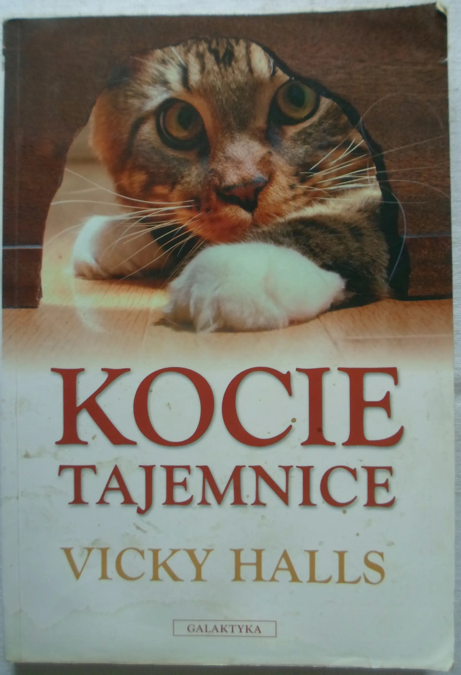 Książka - Kocie tajemnice