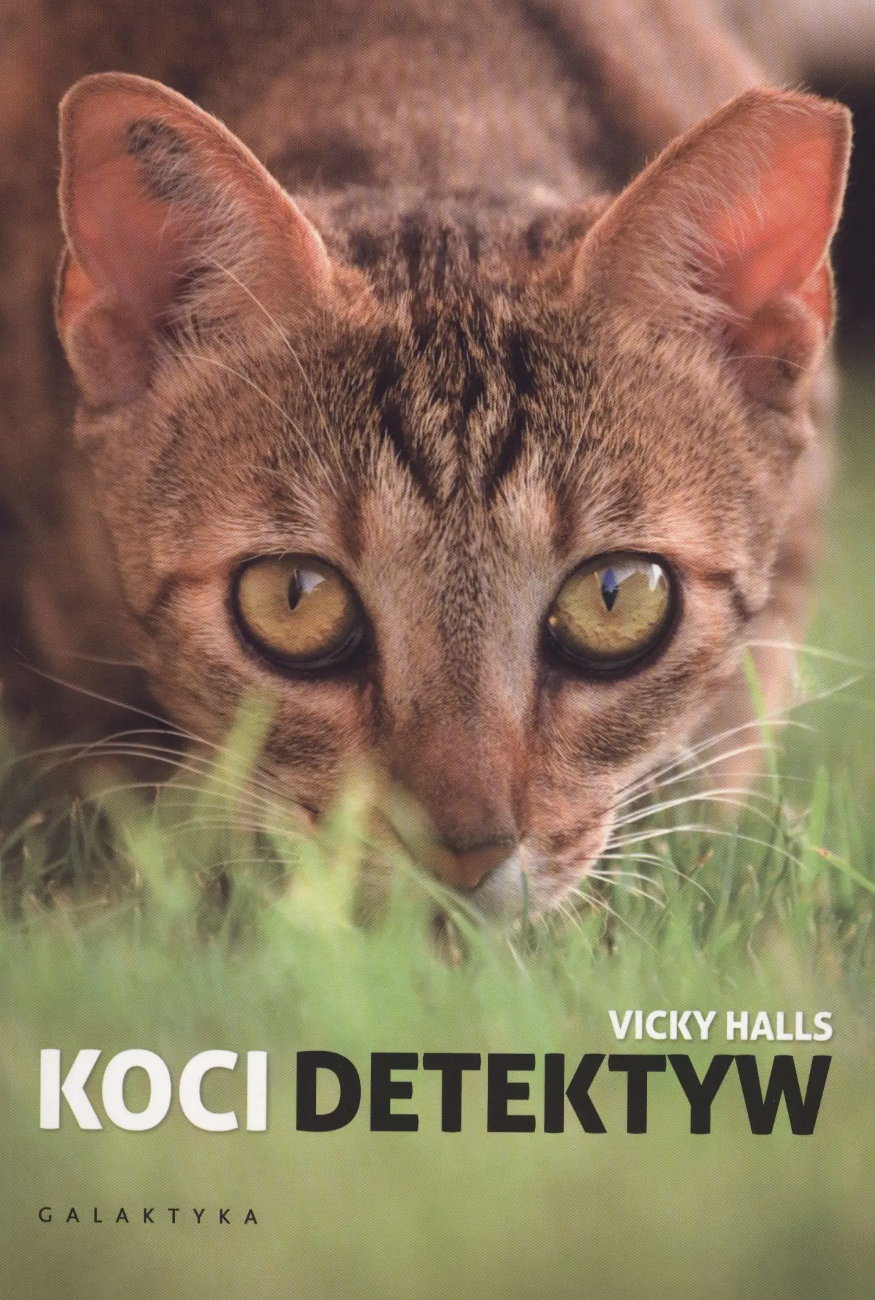 Książka - Koci detektyw