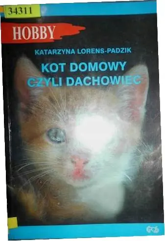 Książka - Kot domowy czyli dachowiec