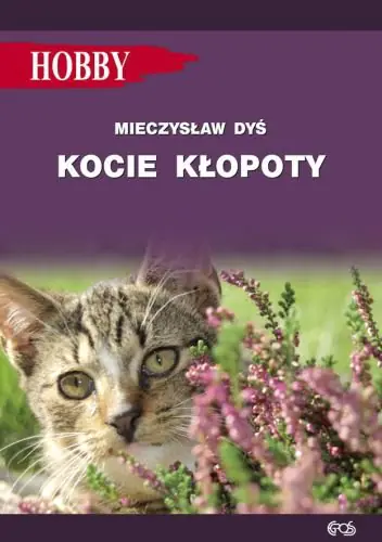 Książka - Kocie kłopoty