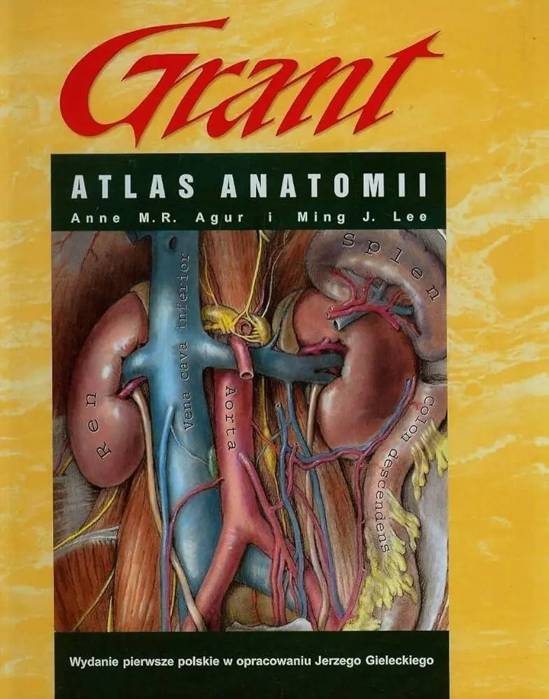 Książka - Atlas anatomii