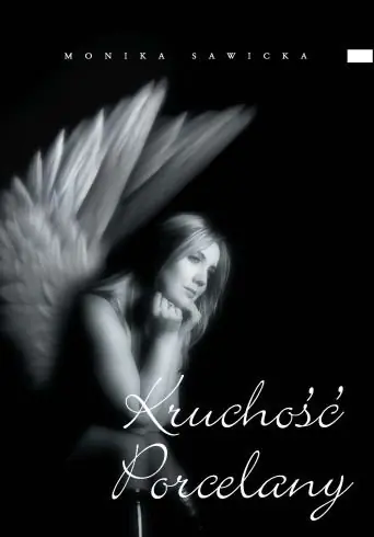 Książka - Kruchość porcelany