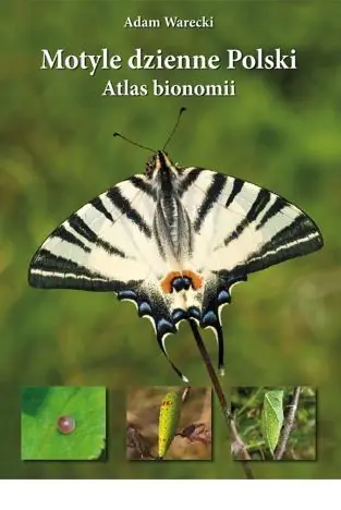 Książka - Motyle dzienne Polski. Atlas bionomii TW w.2021