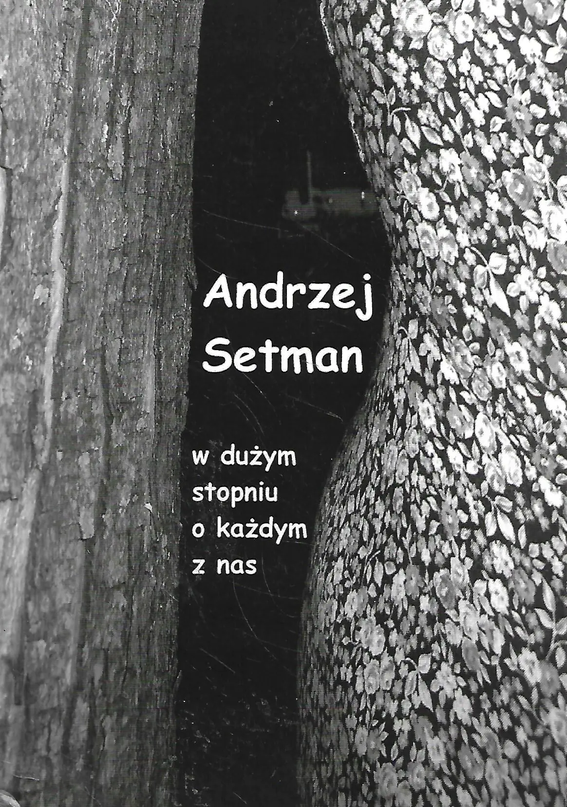 Książka - W dużym stopniu o każdym z nas (opowiadania)