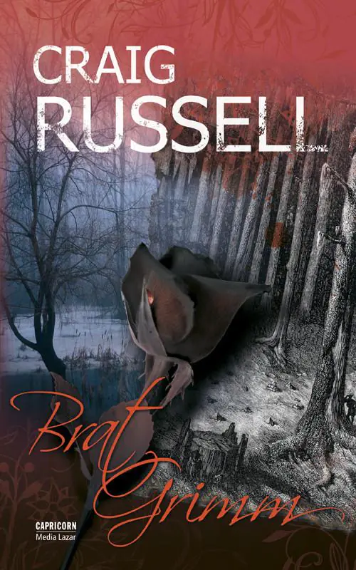 Książka - Brat Grimm