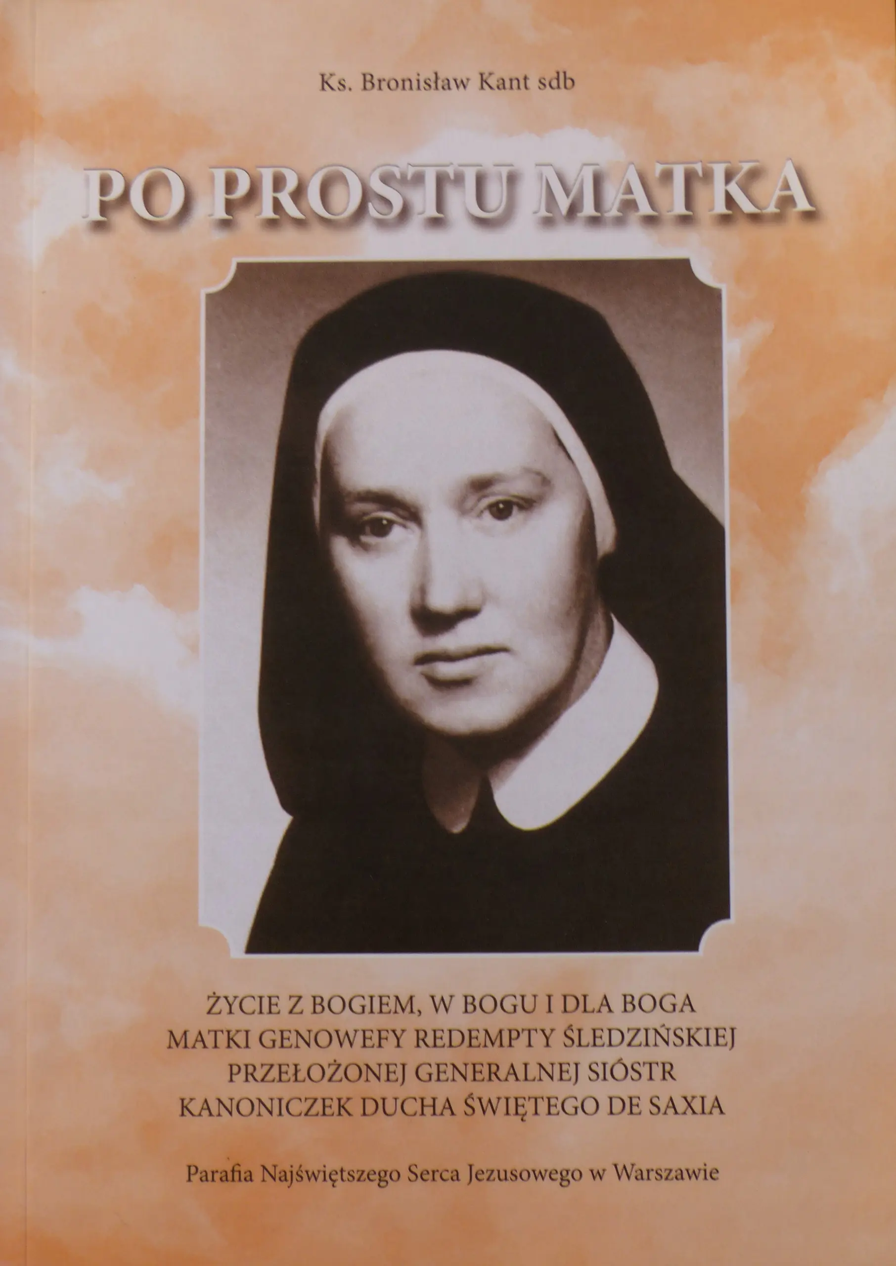 Książka - Po prostu matka