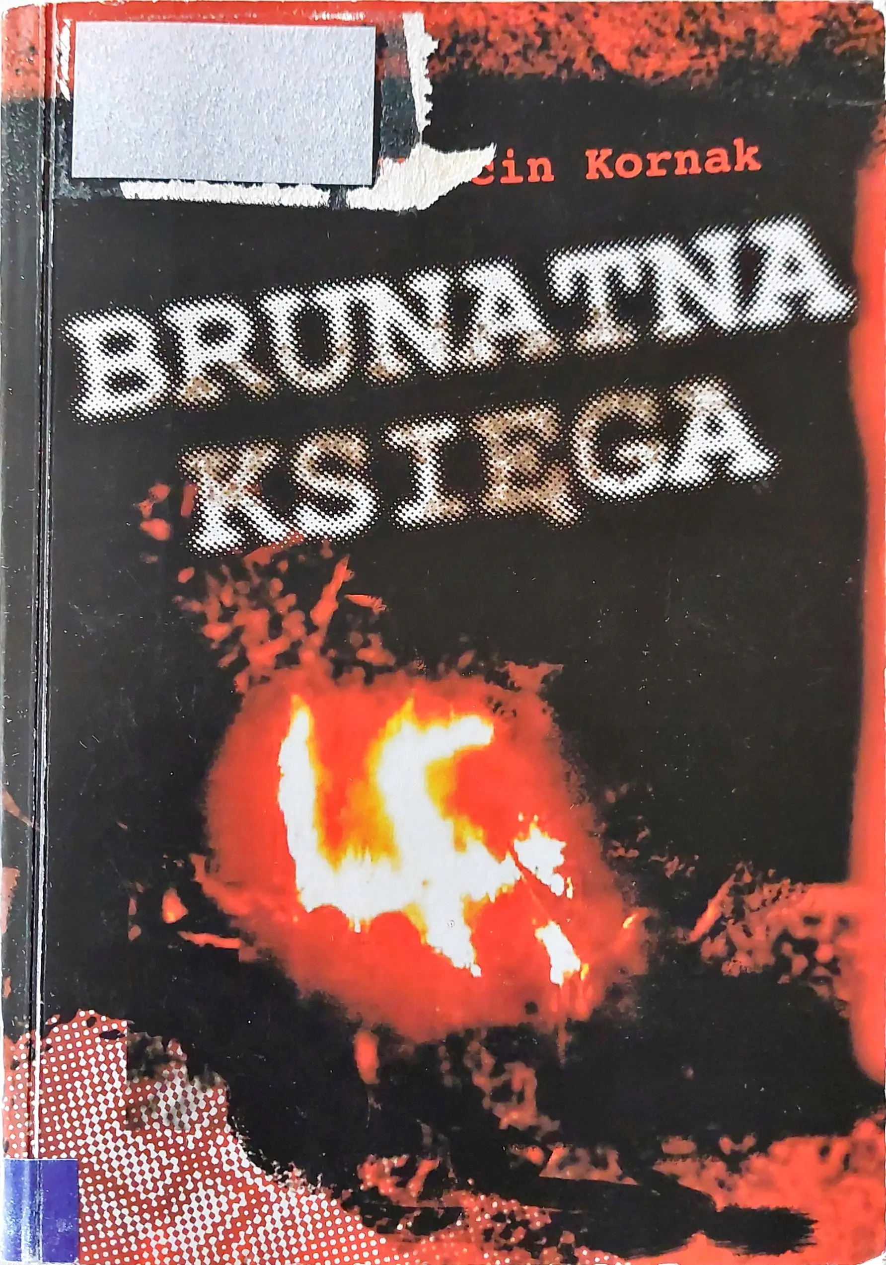 Książka - Brunatna księga 1987-2009