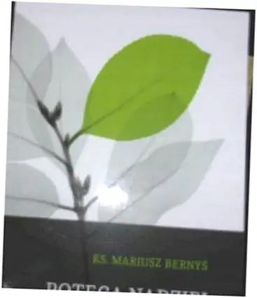 Książka - Potęga nadziei : opowieść o cierpieniu człowieka i miłosierdziu Boga