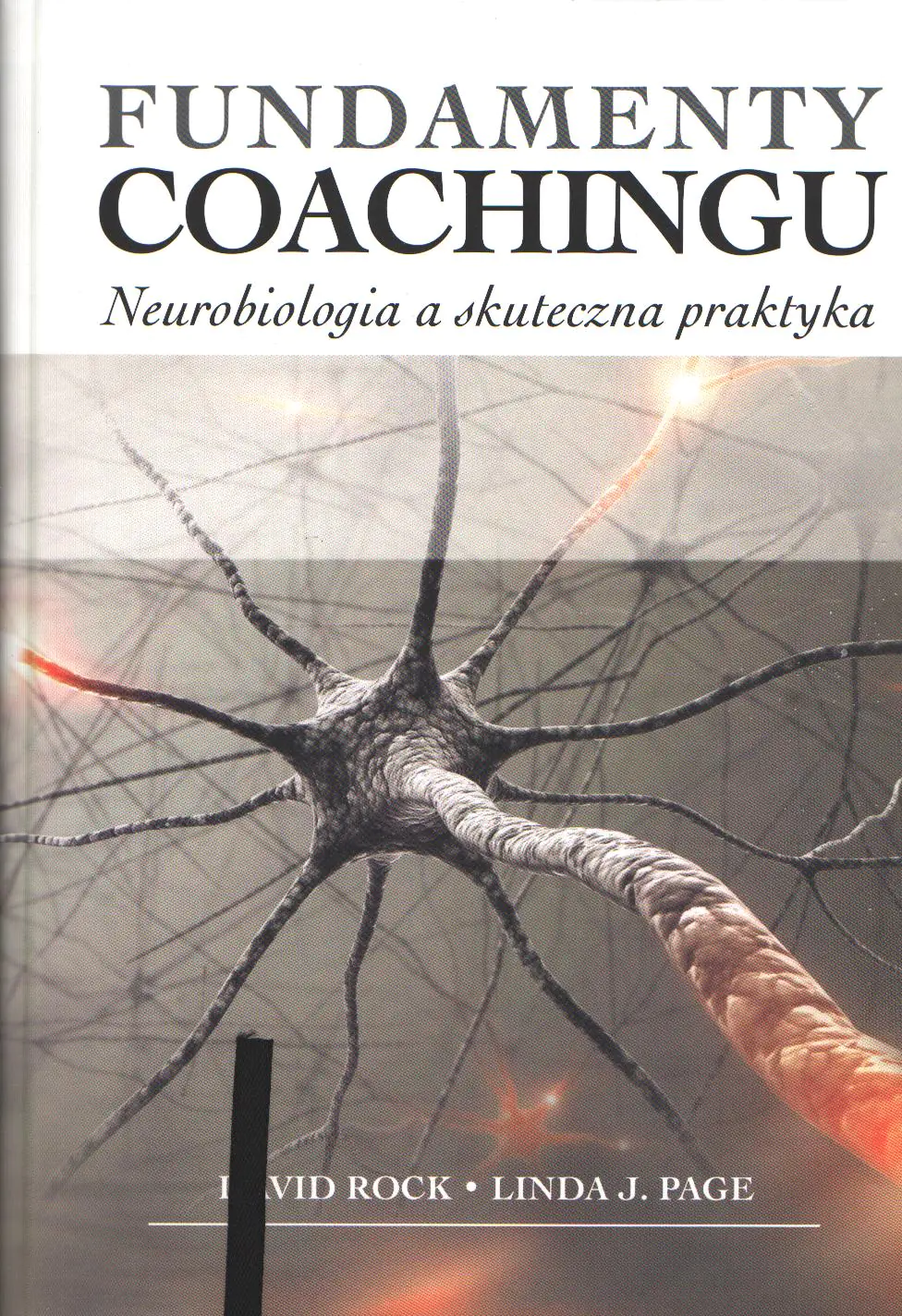 Książka - FUNDAMENTY COACHINGU NEUROBIOLOGIA A SKUTECZNA PRAKTYKA