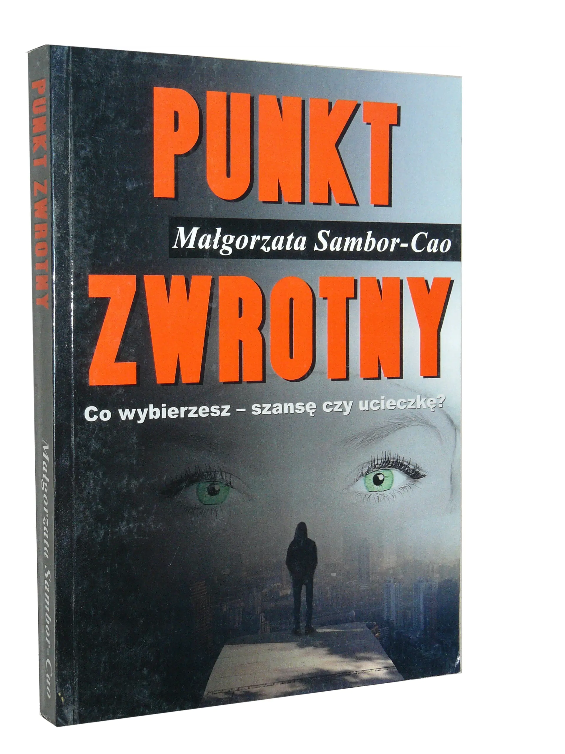 Książka - Punkt zwrotny. Część 1
