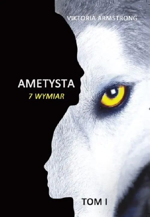 Książka - Ametysta. 7 wymiar. Tom 1