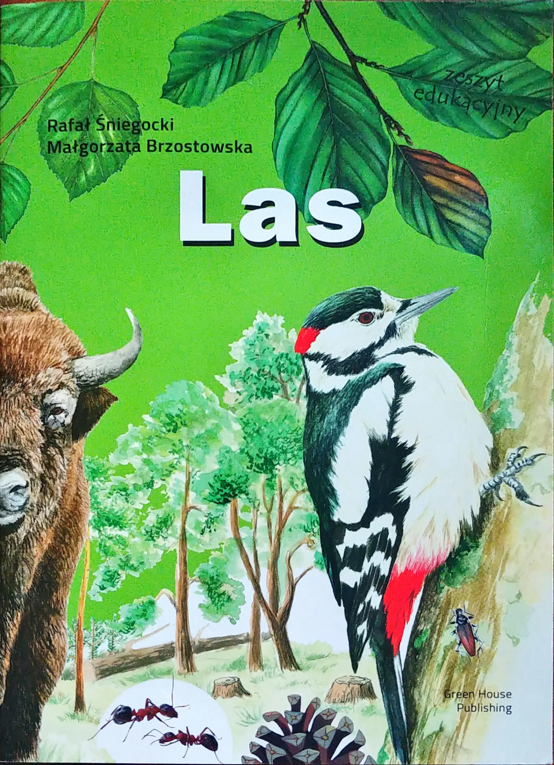 Książka - Las