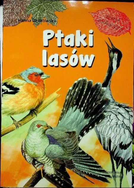 Książka - Ptaki lasów