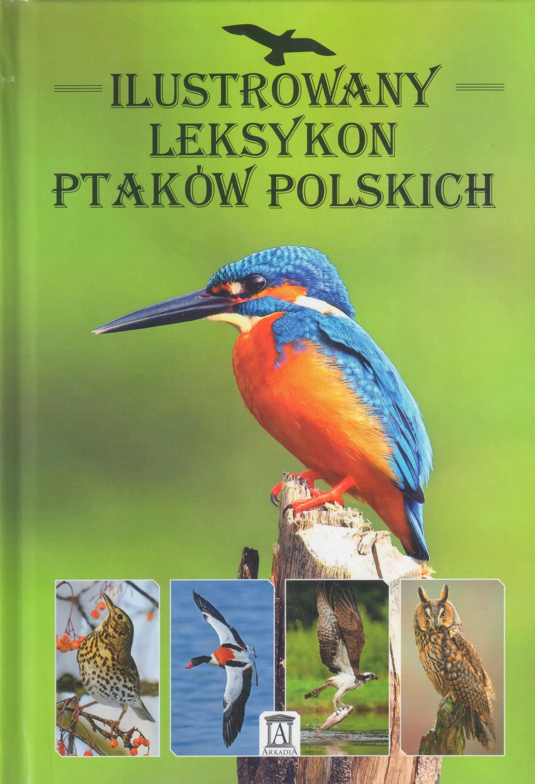Książka - Nad Niemnem. Wydanie kolekcjonerskie