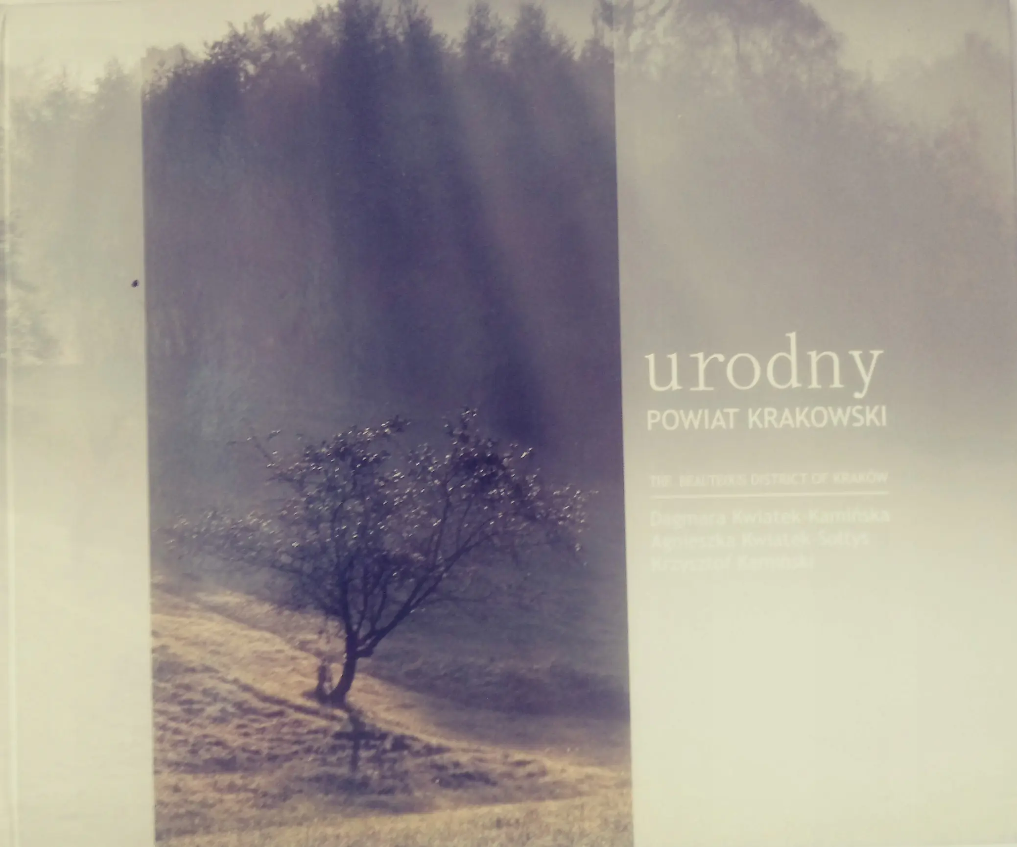 Książka - Urodny powiat krakowski