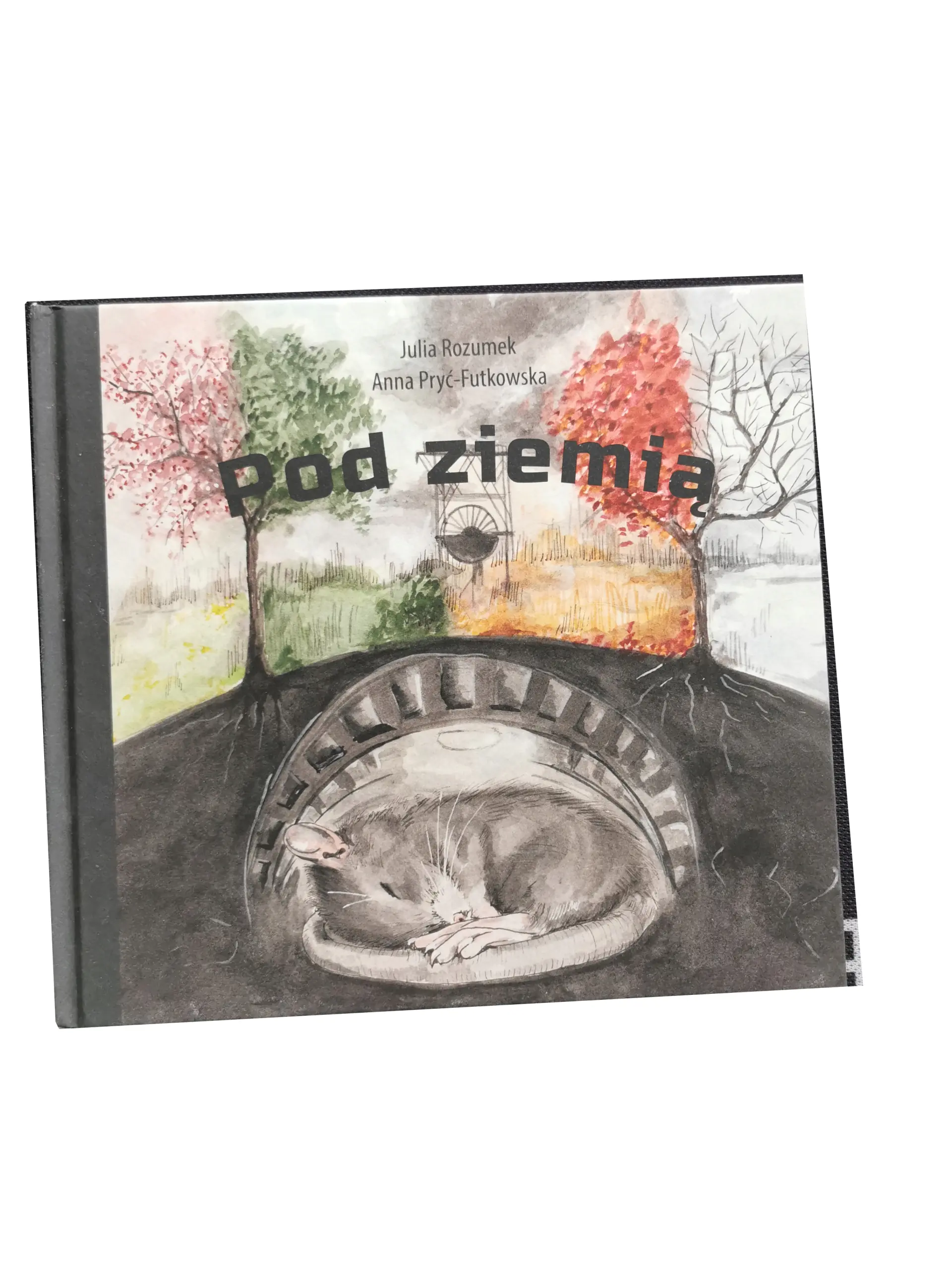 Książka - Pod ziemią