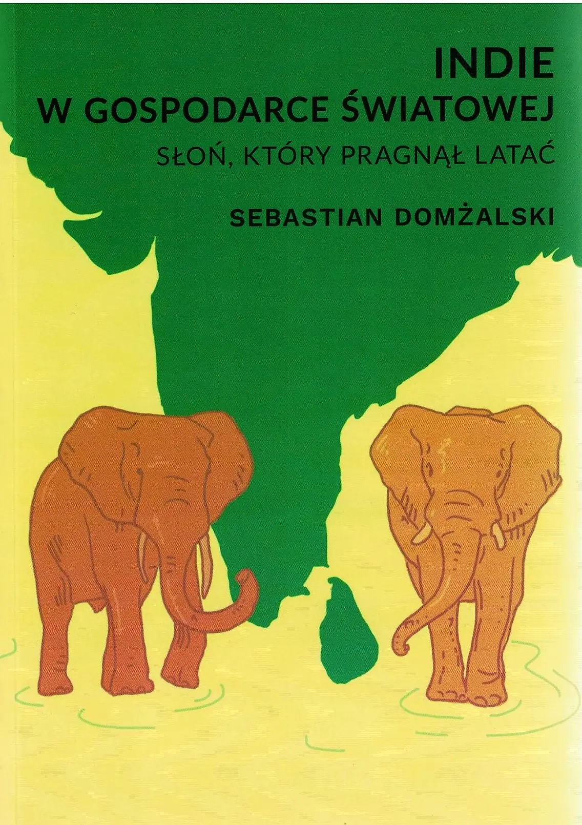 Książka - Indie w gospodarce światowej. Słoń, który pragnął latać