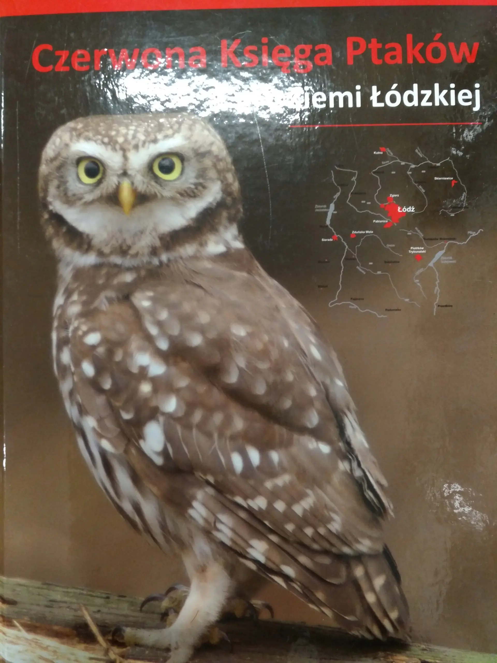 Książka - CZERWONA KSIĘGA PTAKÓW ZIEMI ŁÓDZKIEJ