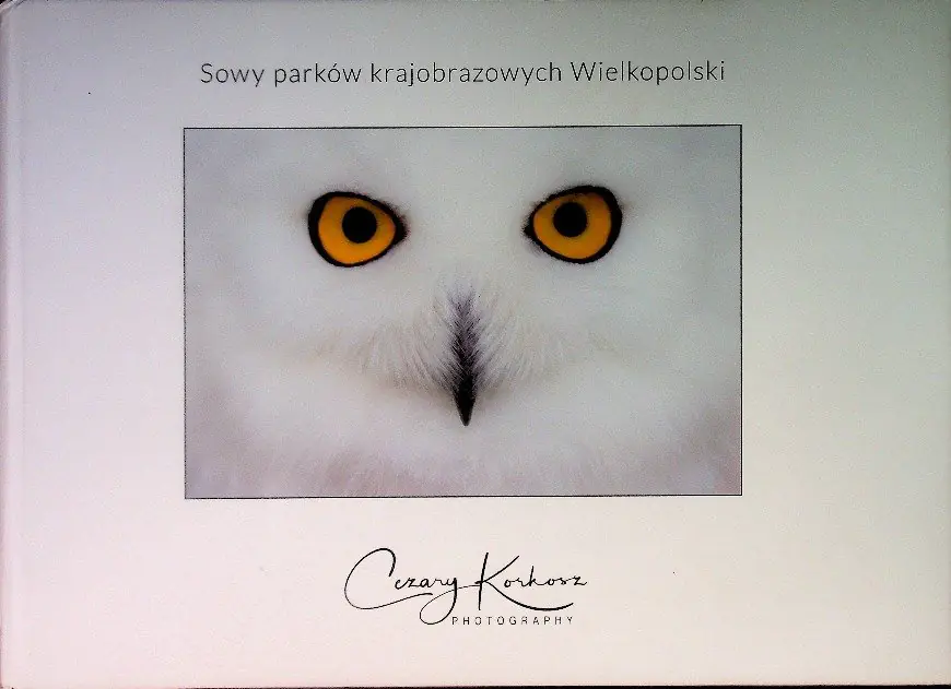 Książka - Sowy parków krajobrazowych Wielkopolski