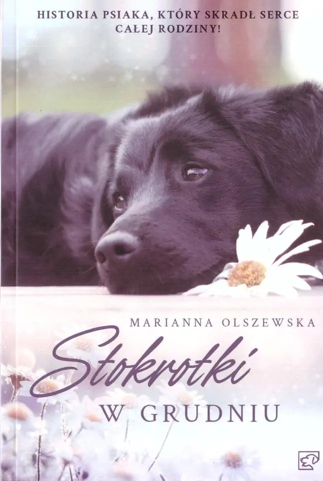 Książka - Stokrotki w grudniu